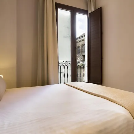 Siloe Plaza Apartamento Granada
